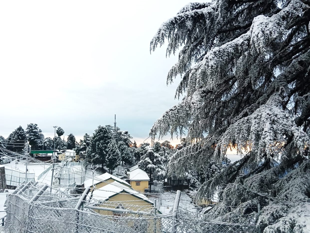 Uttarakhand Weather: Yellow alert of Snowfall in Hilly Areas and Rainfall for five Days