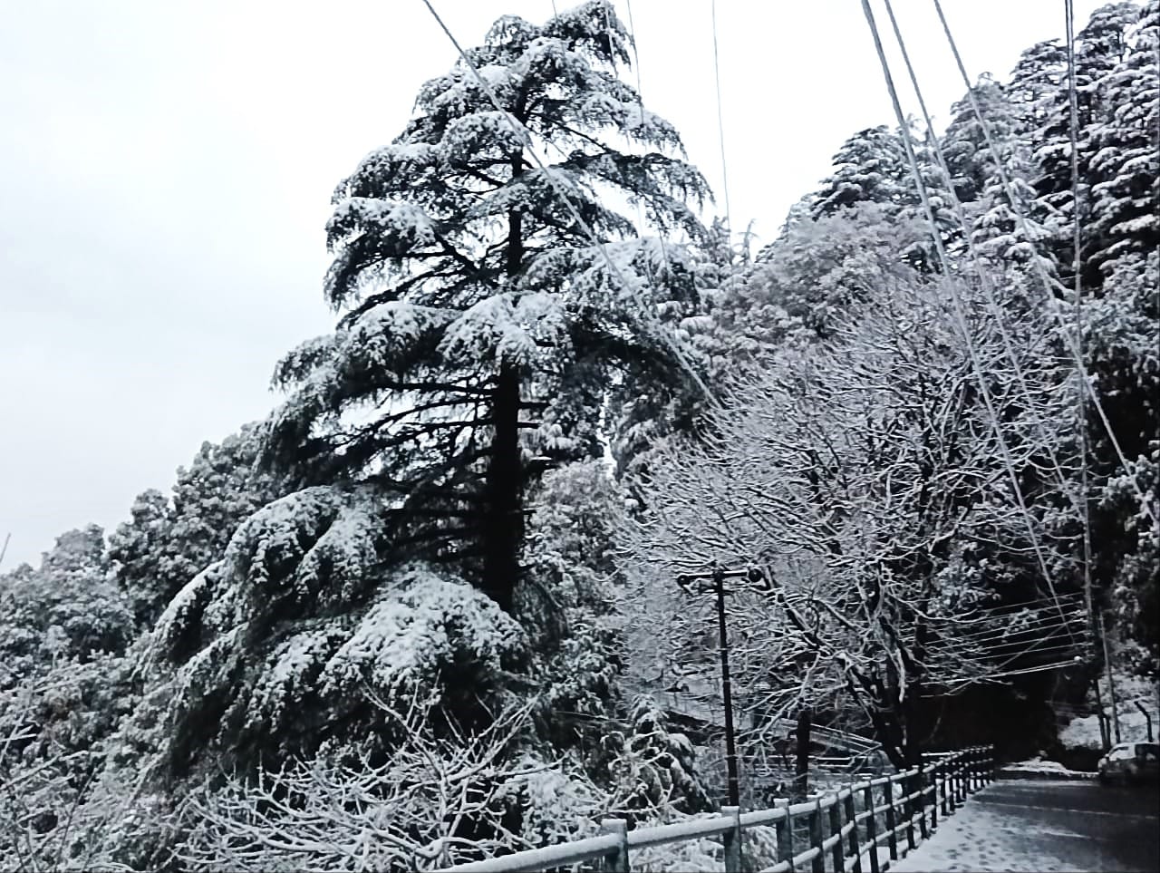Uttarakhand Weather Clear today relief from mountains to plains snowfall in Mussoorie and Yamunotri