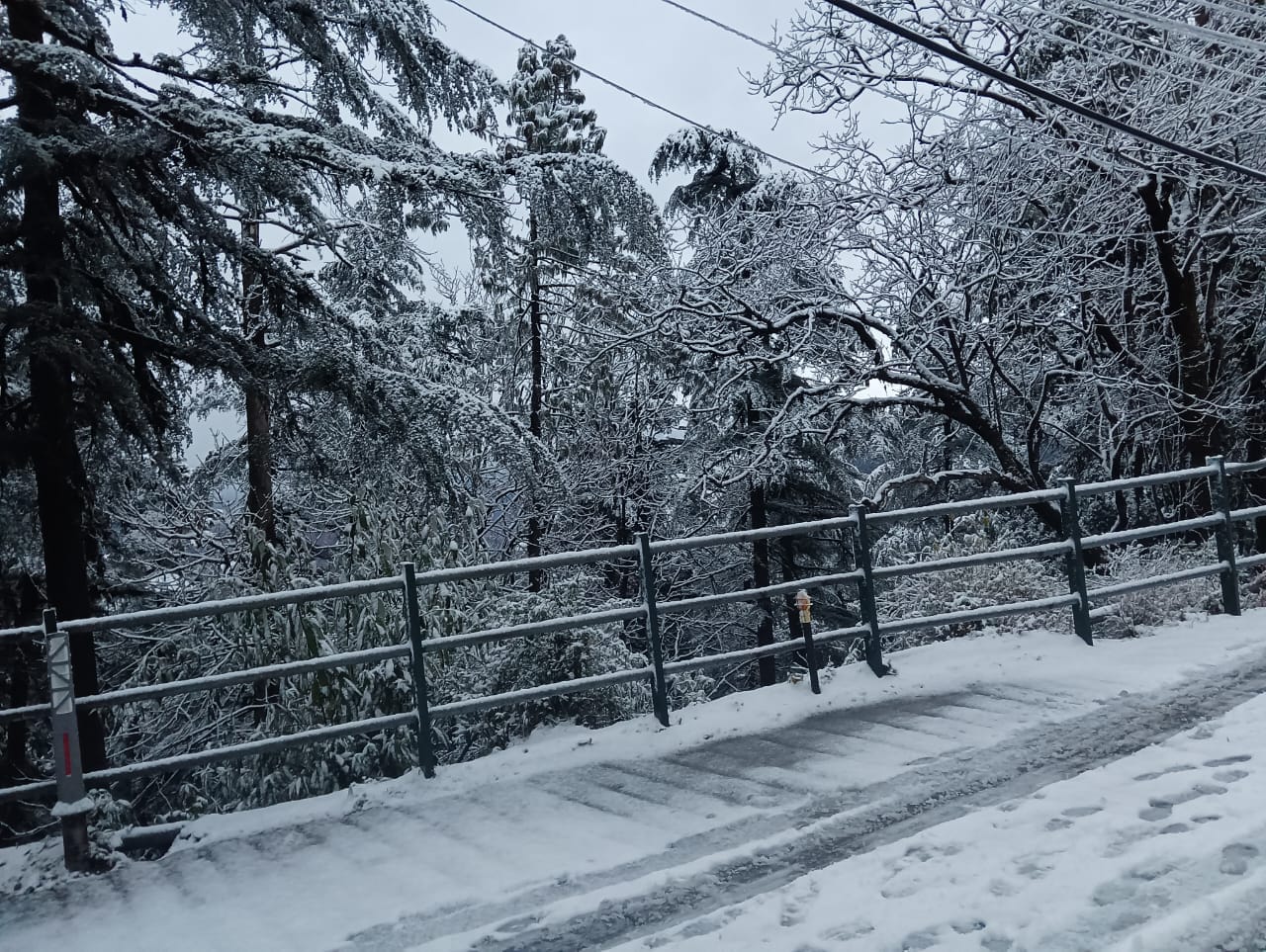 Uttarakhand Weather Clear today relief from mountains to plains snowfall in Mussoorie and Yamunotri