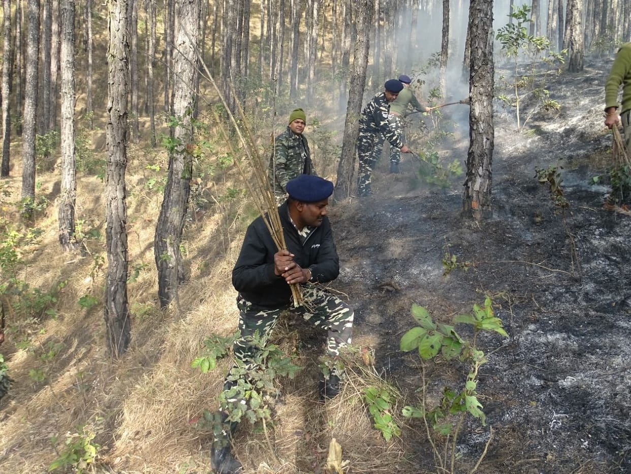 Fire at Ranikhet Forest