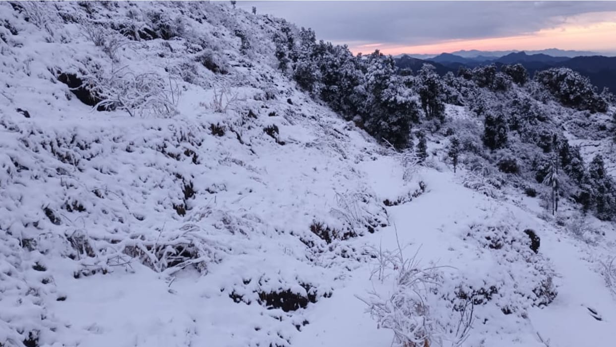 Weather Update Heavy snowfall in Uttarakhand tourists arrived Joshimath Chamoli Mussoorie read more updates