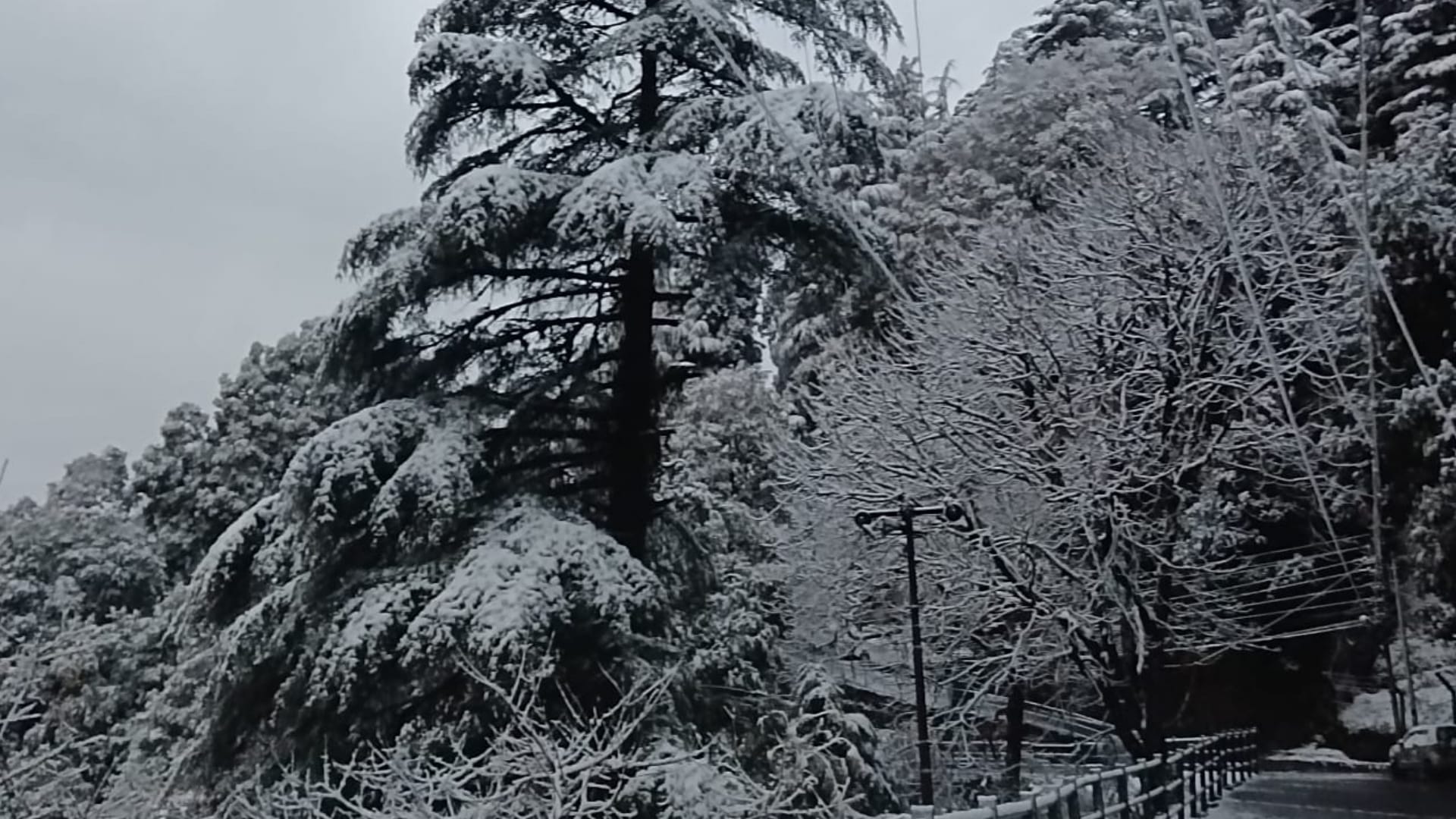 Weather Update Heavy snowfall in Uttarakhand tourists arrived Joshimath Chamoli Mussoorie read more updates