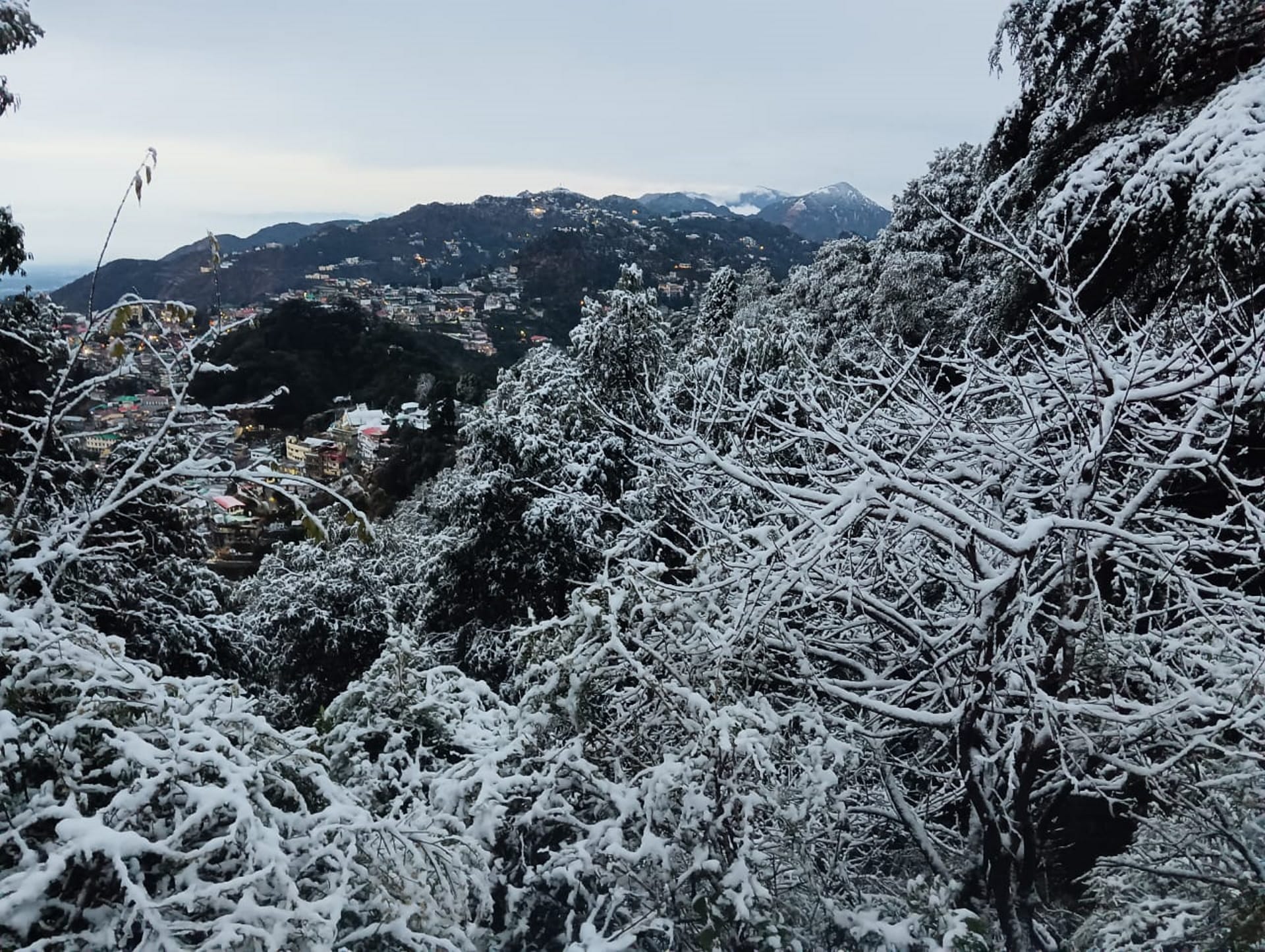 Weather Update Heavy snowfall in Uttarakhand tourists arrived Joshimath Chamoli Mussoorie read more updates