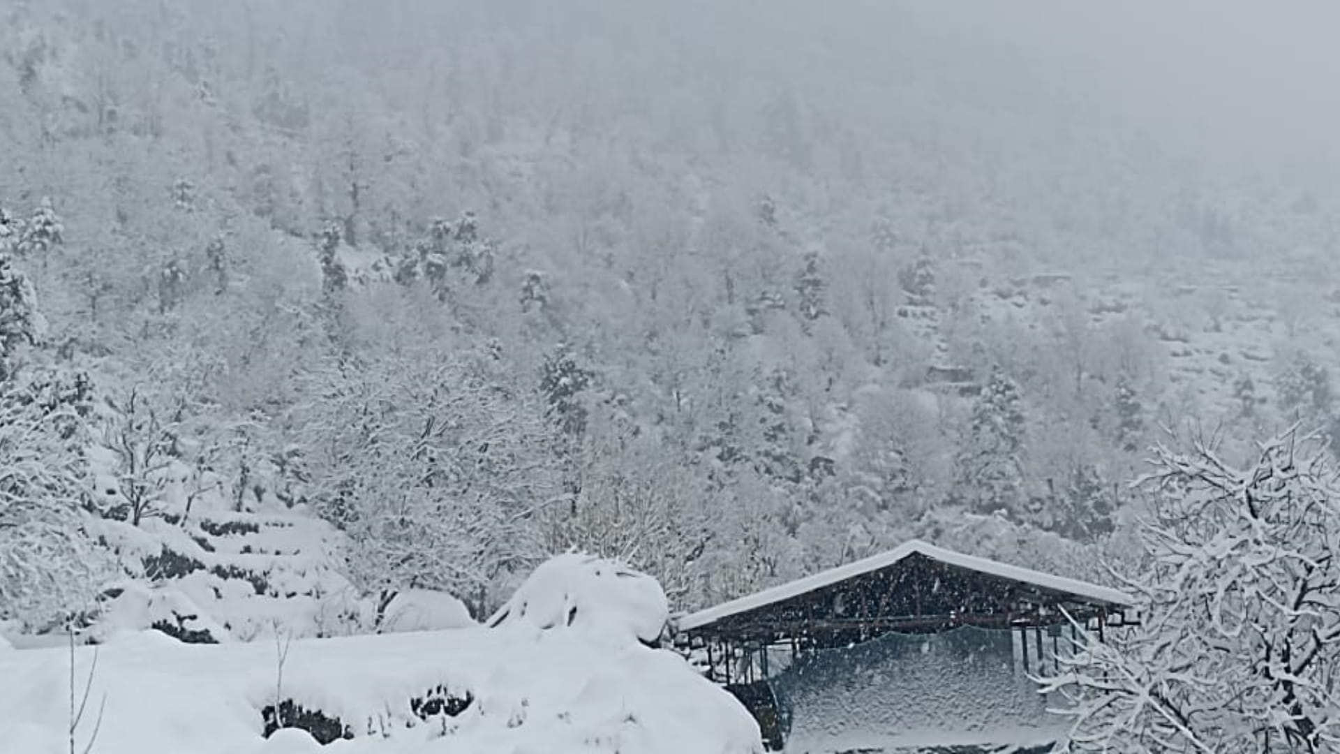 Weather Update Heavy snowfall in Uttarakhand tourists arrived Joshimath Chamoli Mussoorie read more updates