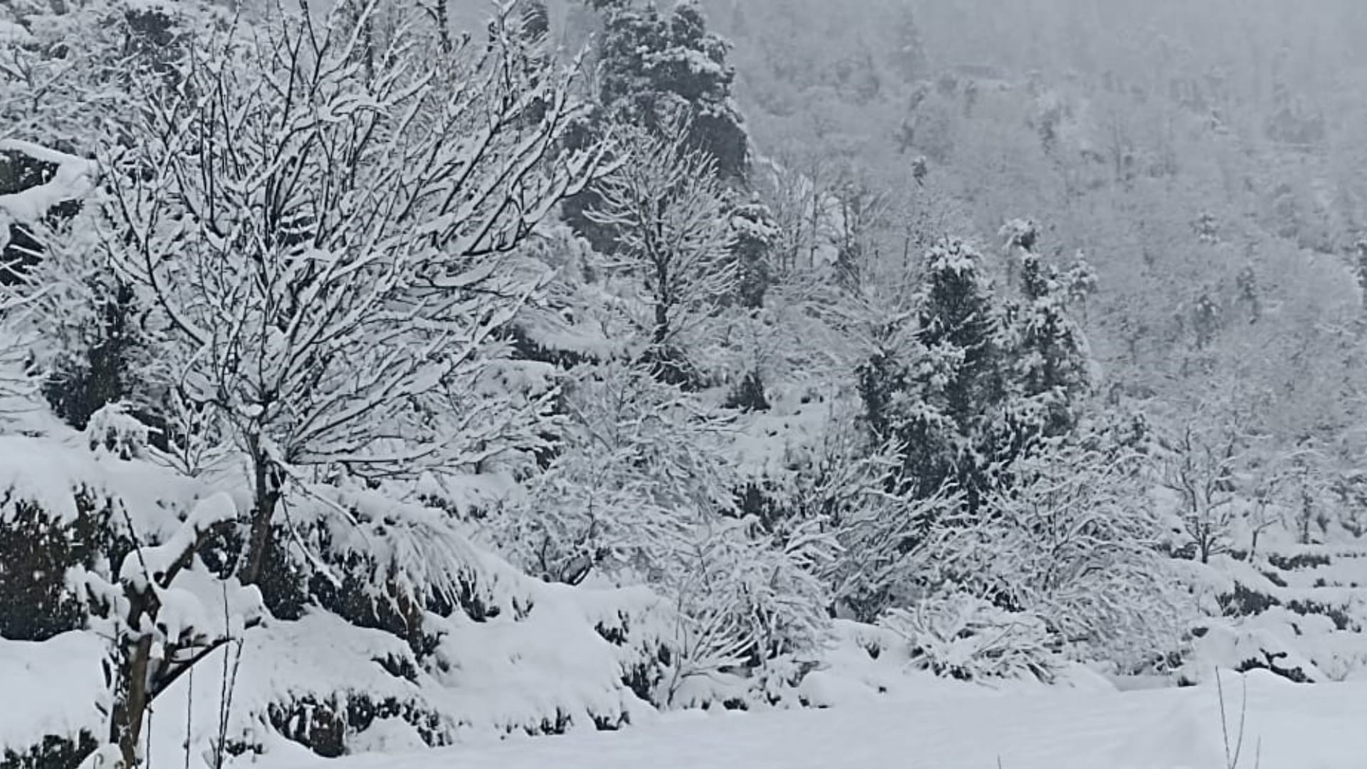Uttarakhand White curfew: 47 villages of Chamoli covered with snow, Gangotri Yamunotri highway closed