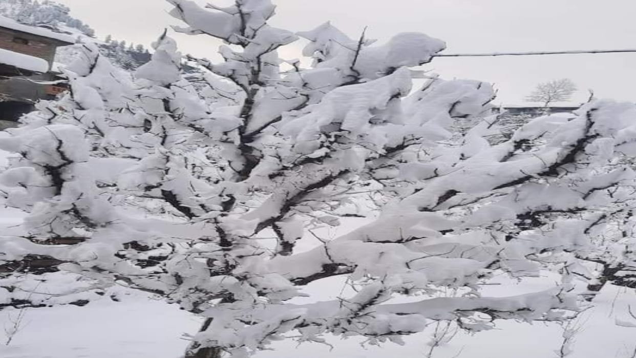 himachal weather update: Heavy rain and snowfall alert in many districts of state