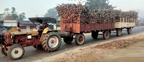 bike rider crushed to death by trolley