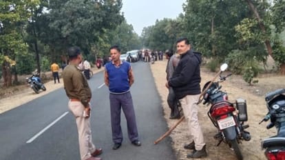 Tiger spotted in Shahdol