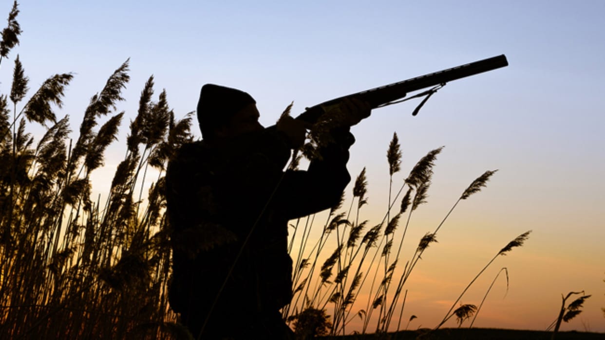 Shimla News: Hunter killed as gun goes off accidentally in Shimla