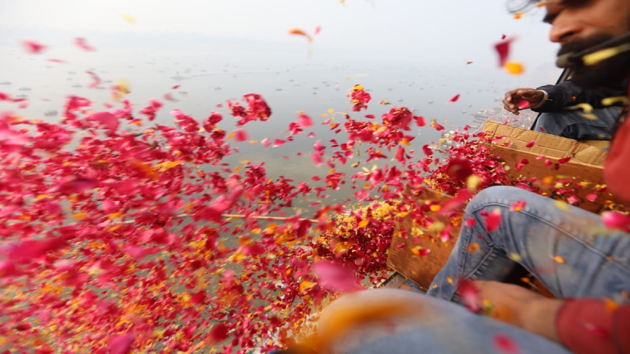 Mauni Amavasya: Crores of devotees took a dip in Sangam, flowers were showered by helicopter, CM Yogi congratu
