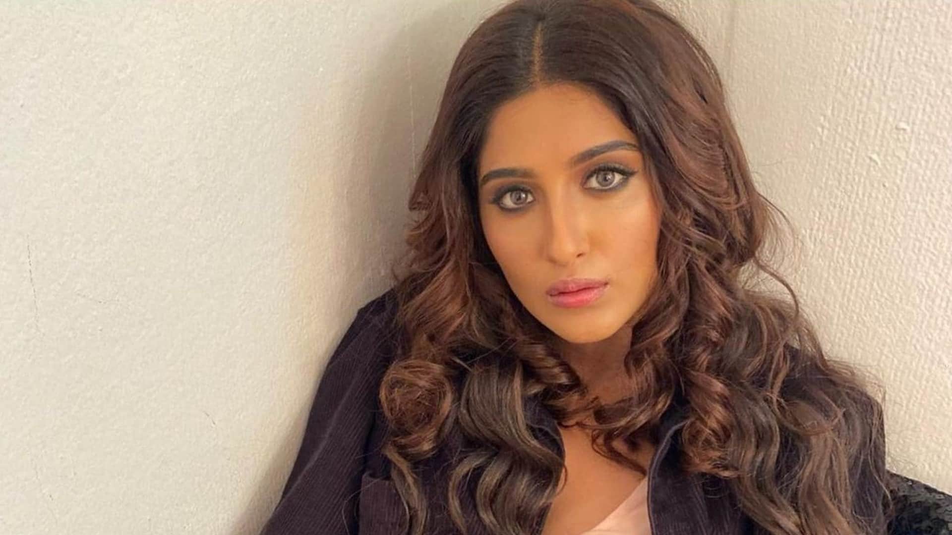 Bigg Boss 16 Contestant Nimrit kaur Ahluwalia to make Bollywood Debut in Ekta Kapoor Dibakar Banerjee LSD 2