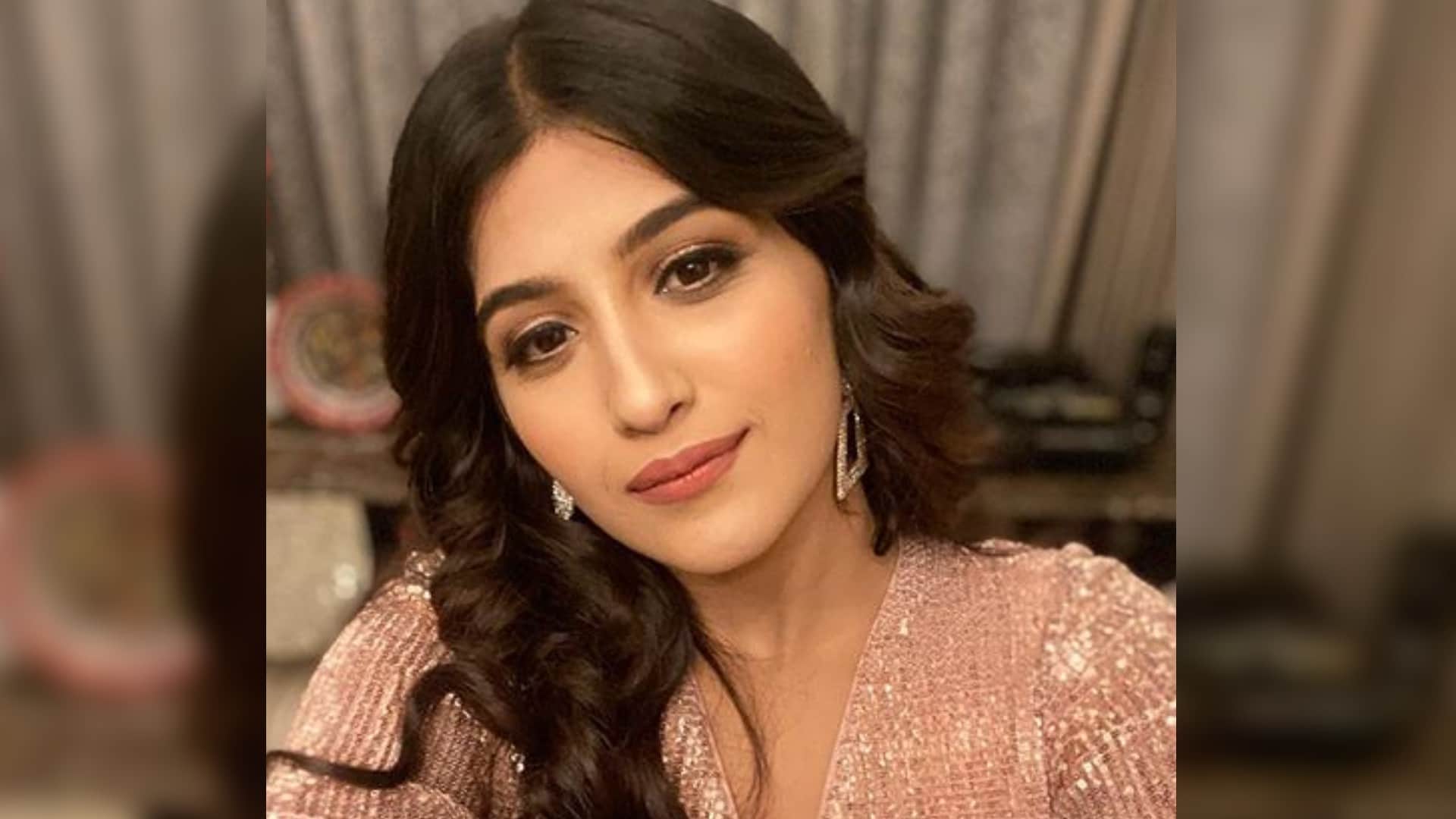 MC Stan Koena Mitra Shamita Shetty These bigg boss contestants had become victims of depression