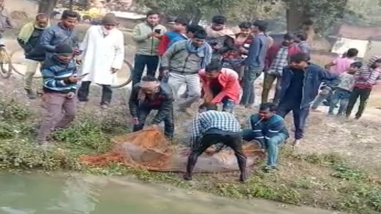 After eight hours of effort the dolphin was stopped by placing a net in the canal