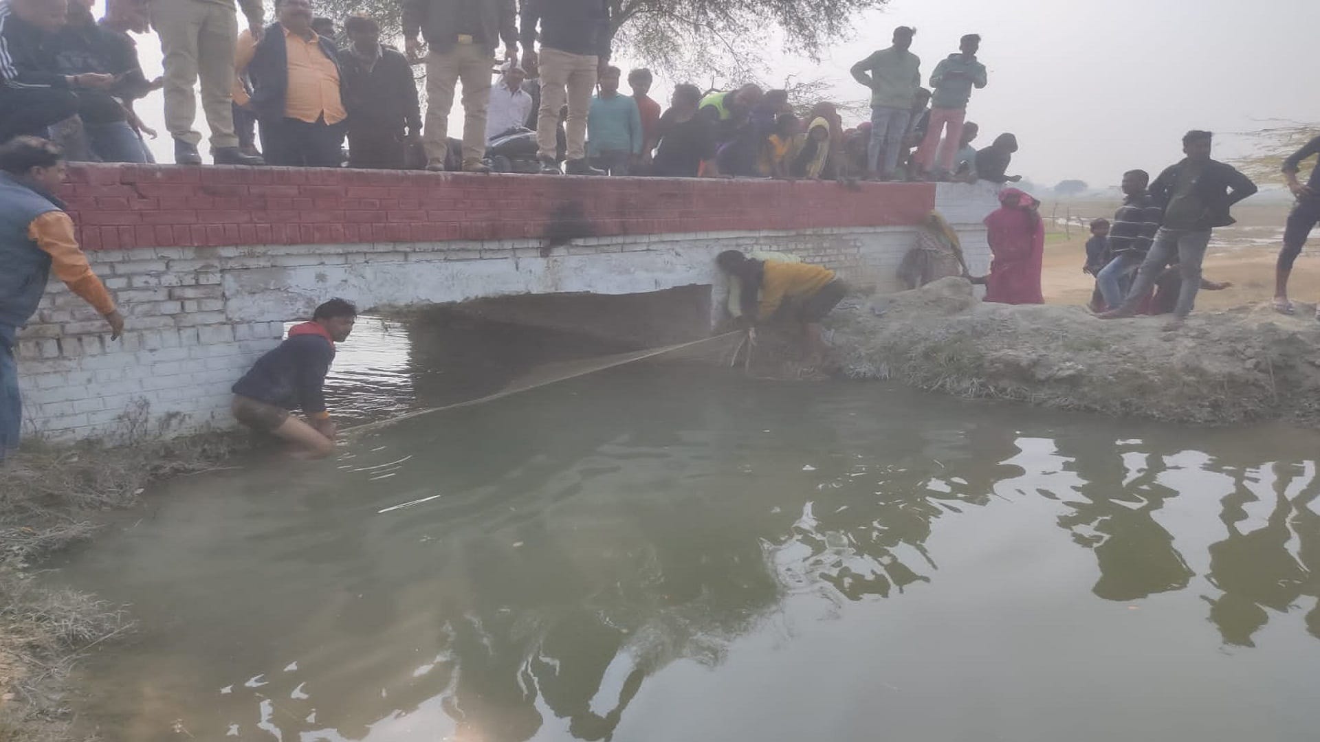 After eight hours of effort the dolphin was stopped by placing a net in the canal