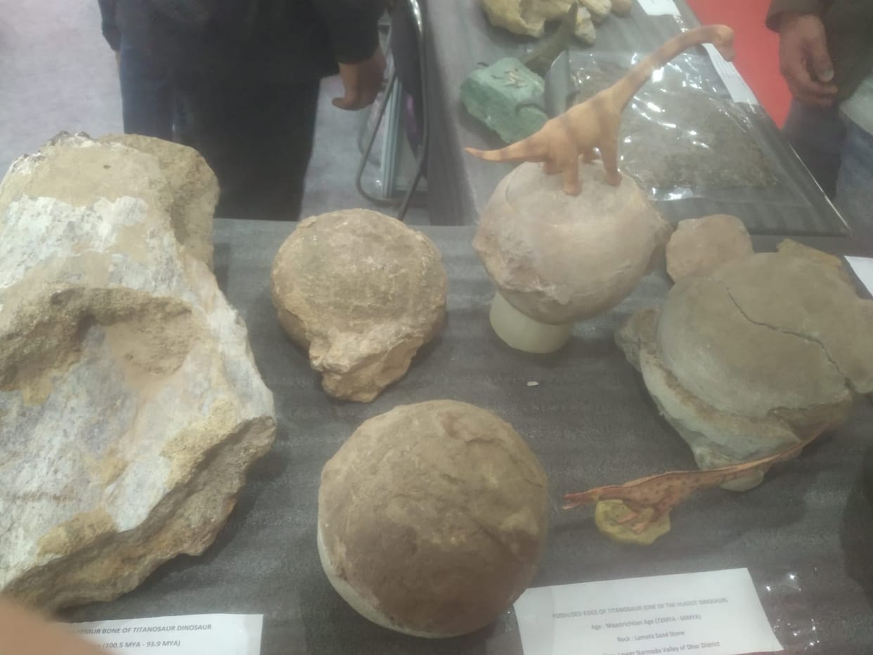 Bhopal News:6.5 million year old dinosaur eggs, sharp teeth of shark came in Bhopal's science fest