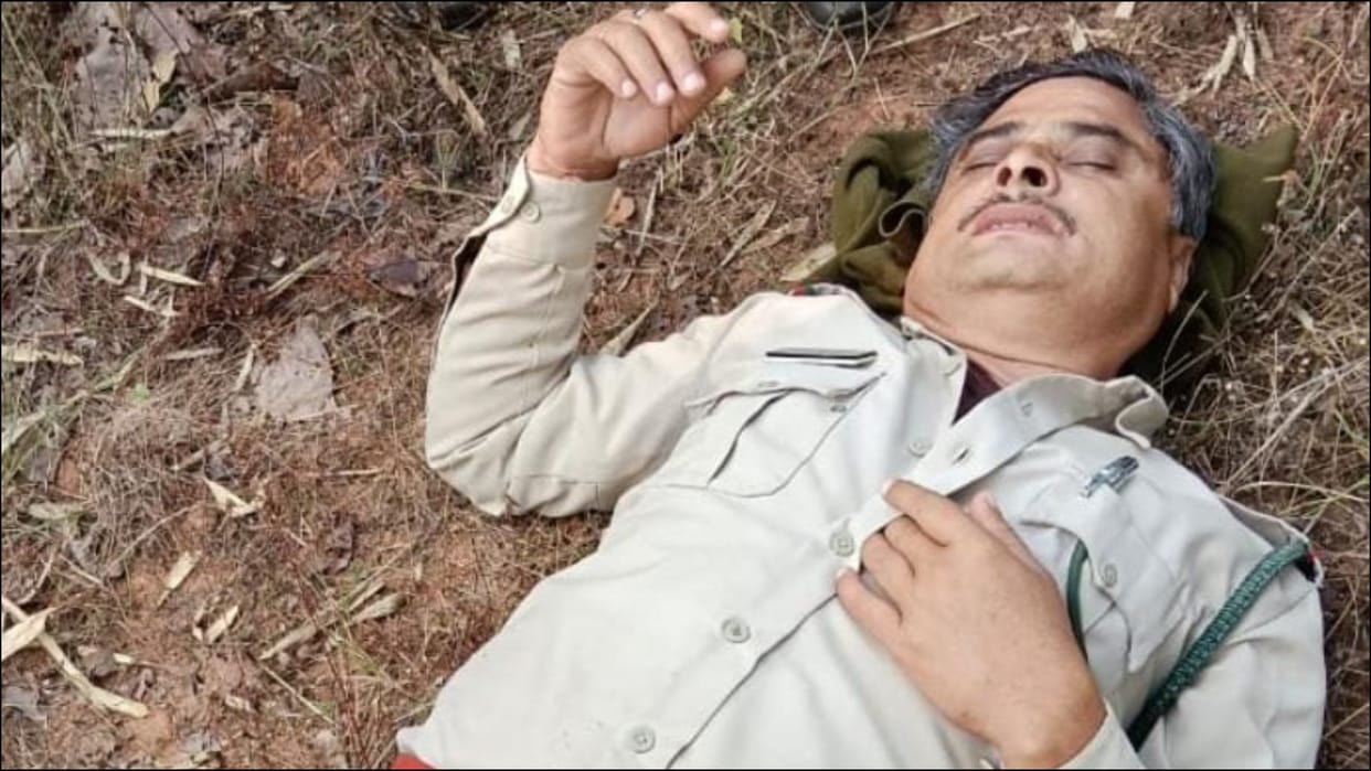 deputy ranger injured in tiger attack in umaria mp news