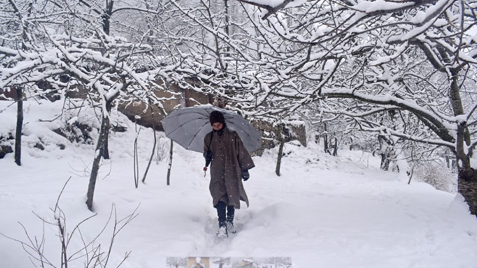 Jammu Kashmir Weather: Severe cold in Gulmarg, Patnitop-Nathatop buzzing with tourists
