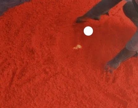 Hathras: The color of Corona has been thrown away Holi will be played with saffron gulal