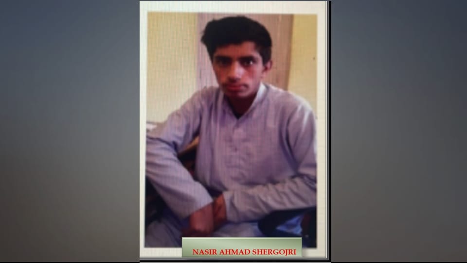 Shopian Police and Army arrested HM terrorist active since 2017