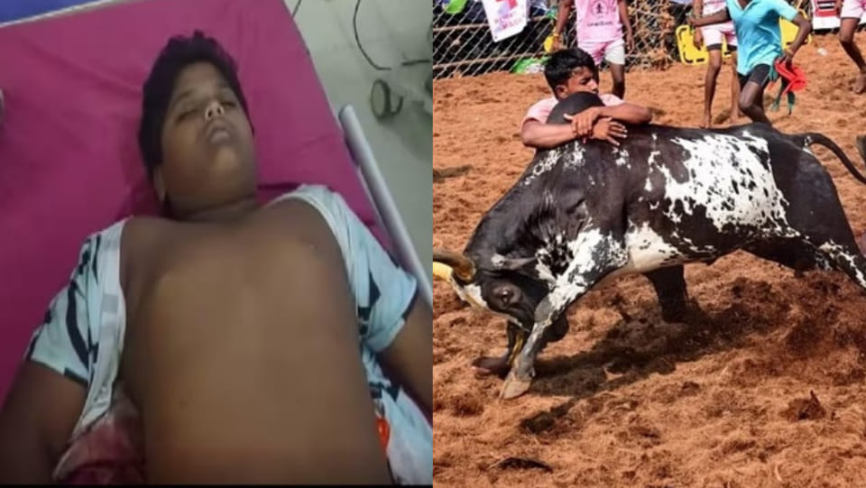 14 year old Boy Gokeul gored to death by bull during Jallikattu event in Tamil Nadu