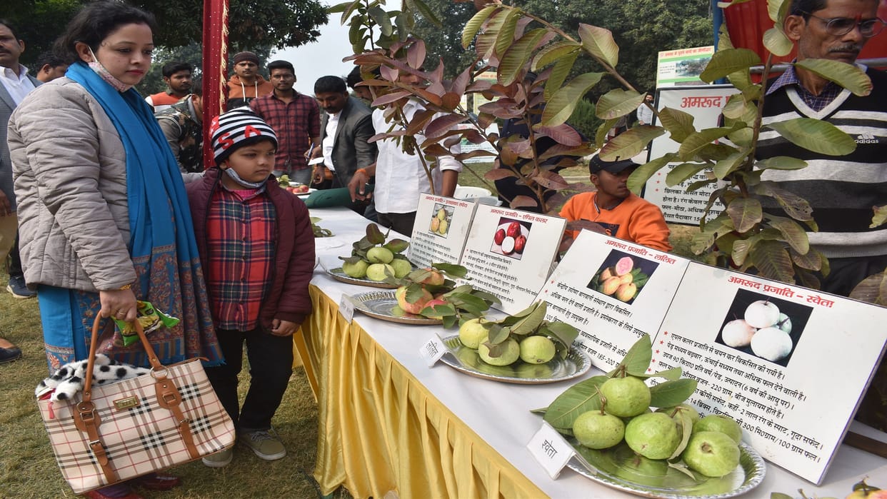 Guava Mahotsav: Guava Festival in Khusro Bagh, eight varieties of species were displayed
