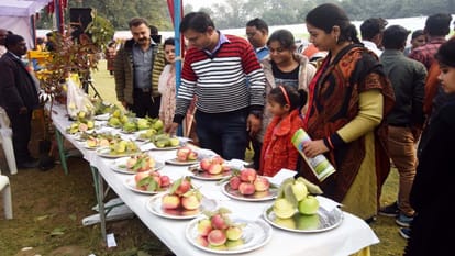 Guava Mahotsav: Guava Festival in Khusro Bagh, eight varieties of species were displayed