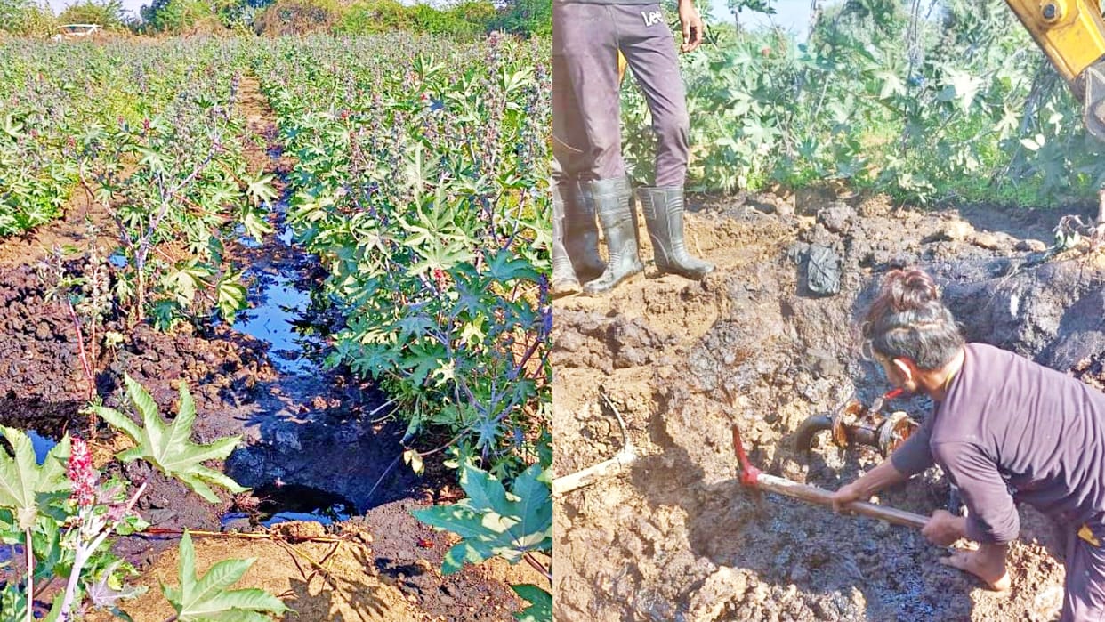 Thieves extracted oil from the IOC pipeline passing through the farm