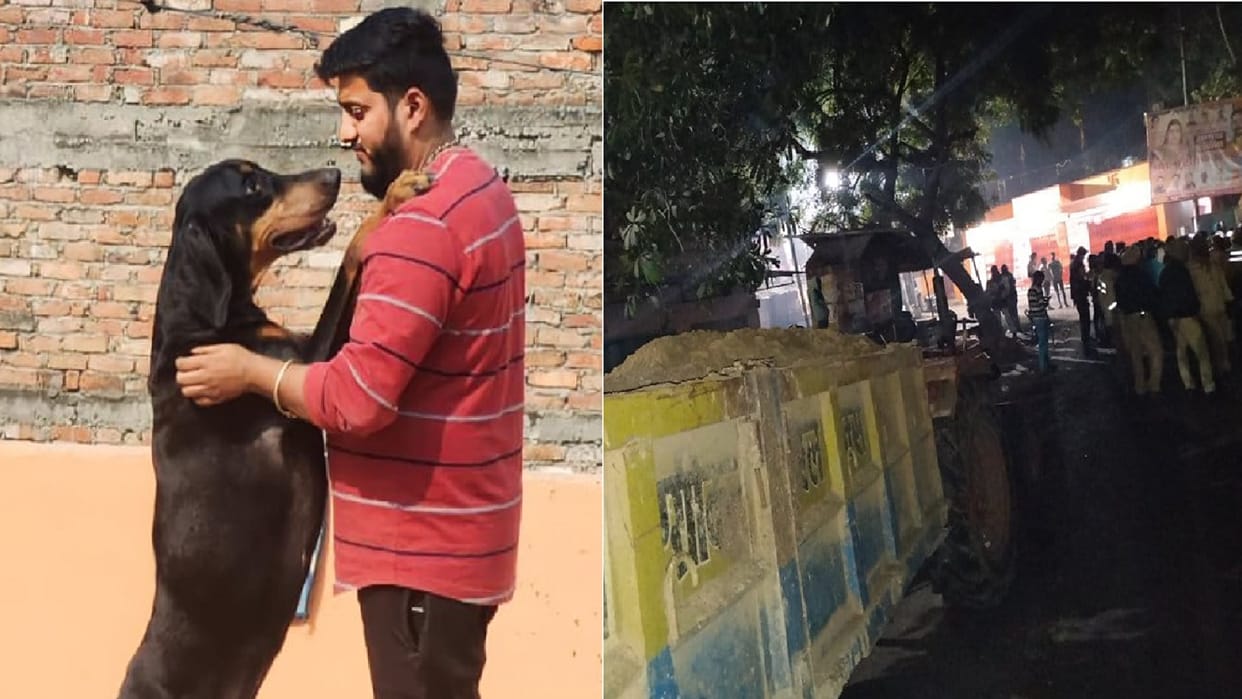 Pet dog dies after being hit by tractor owner creates ruckus and stops vehicle