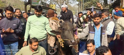 BHAINS KE AAGE BEEN BAJANA a unique demonstration by STET candidates in patna against education minister bihar
