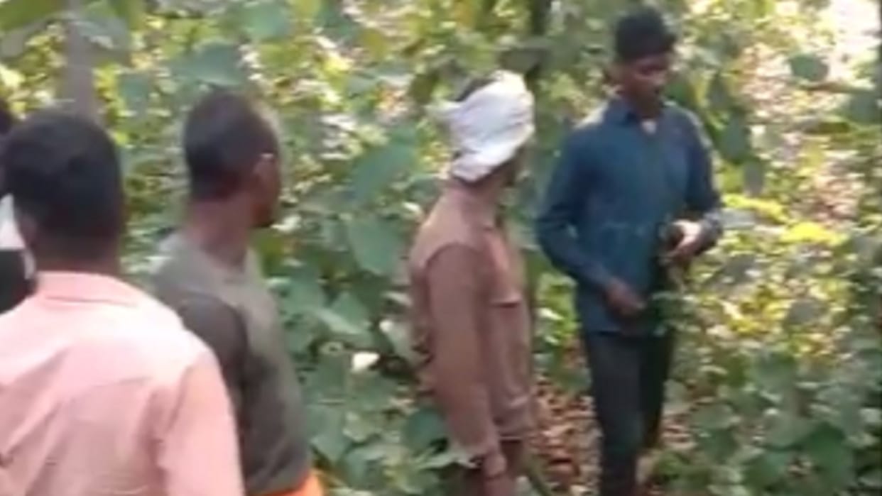 wildlife in chhattisgarh; leopard hunted goat In Mcb District