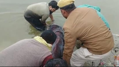 Team from Lucknow rescues dolphin fish, caught in net after two hours, released in Ganga