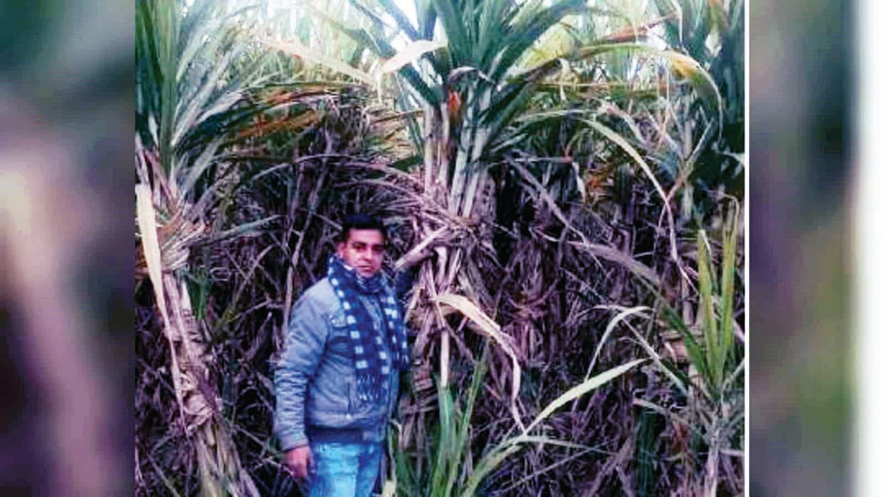 Haryana farmer started natural farming after his aunt died of cancer
