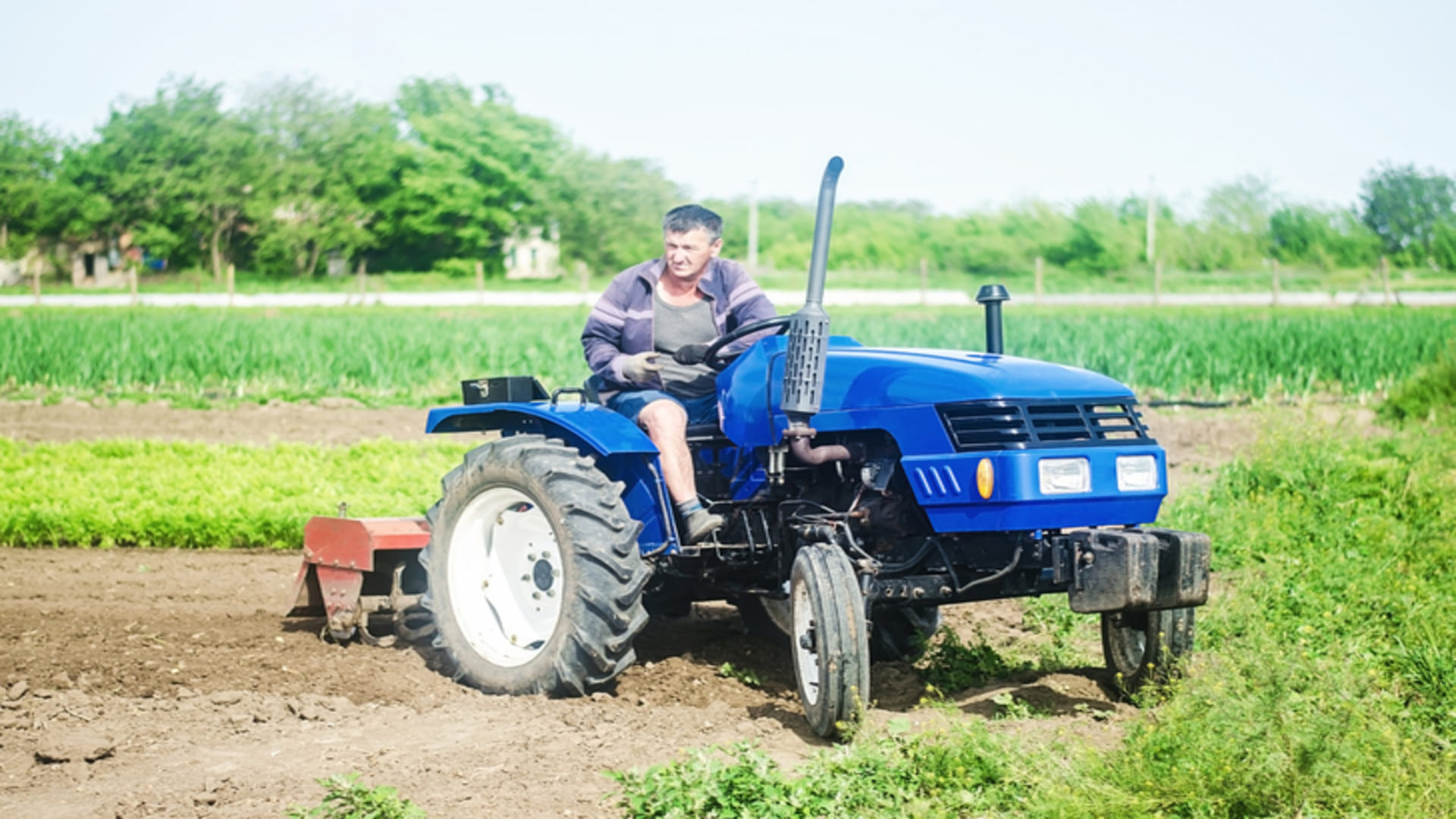 Rajasthan Govt Subsidy on Agriculture Equipment Know About Krishi Machine Subsidy