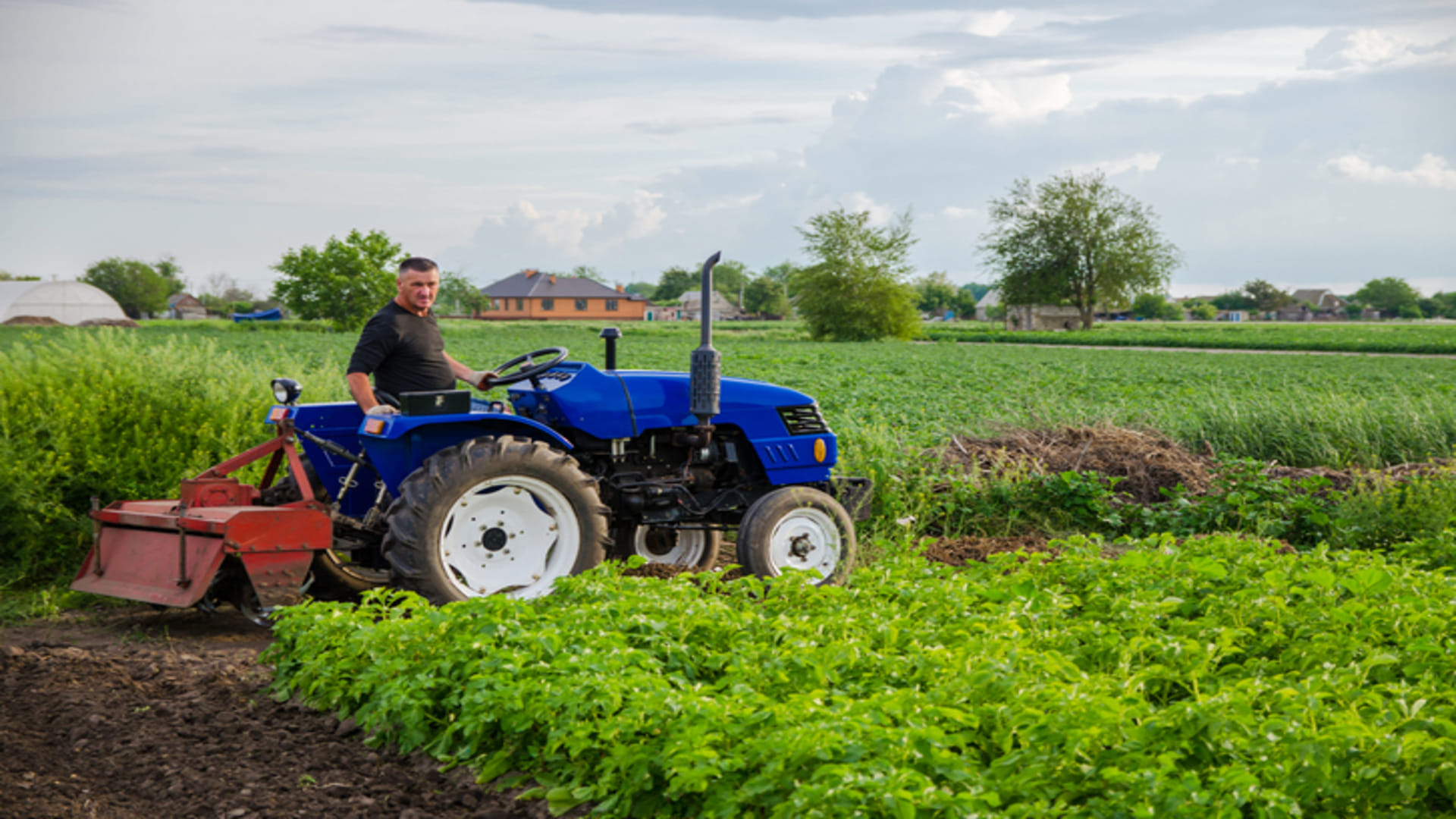 Rajasthan Govt Subsidy on Agriculture Equipment Know About Krishi Machine Subsidy