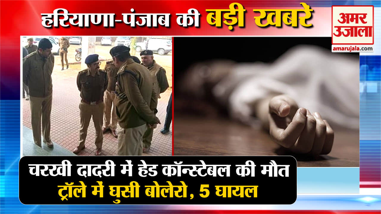 हरियाणा न्यूज