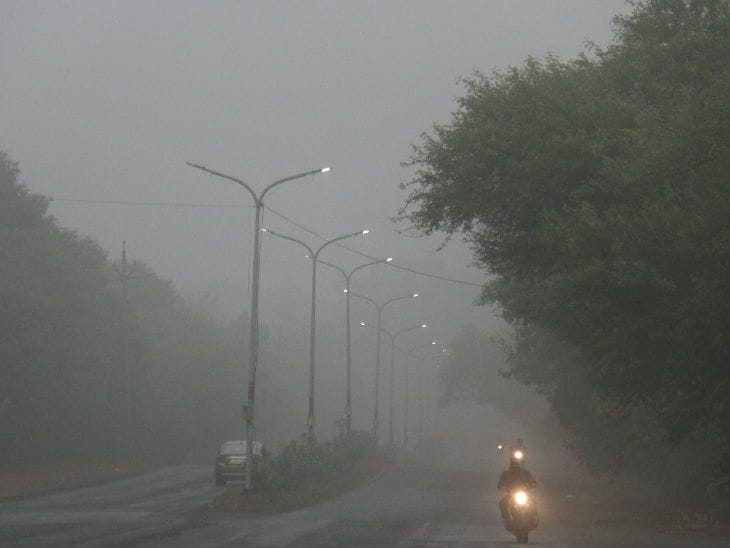 MP Weather Dense fog in Bhopal-Gwalior rain in Guna Drizzle may occur in 8 districts of MP