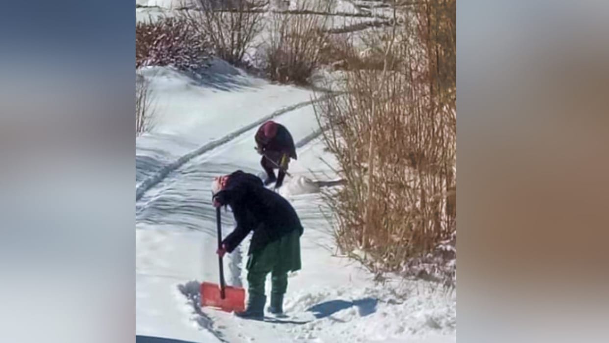 Lahaul Spiti News: BRO women mazdoor removing snow from road in minus temperature in lahaul spiti