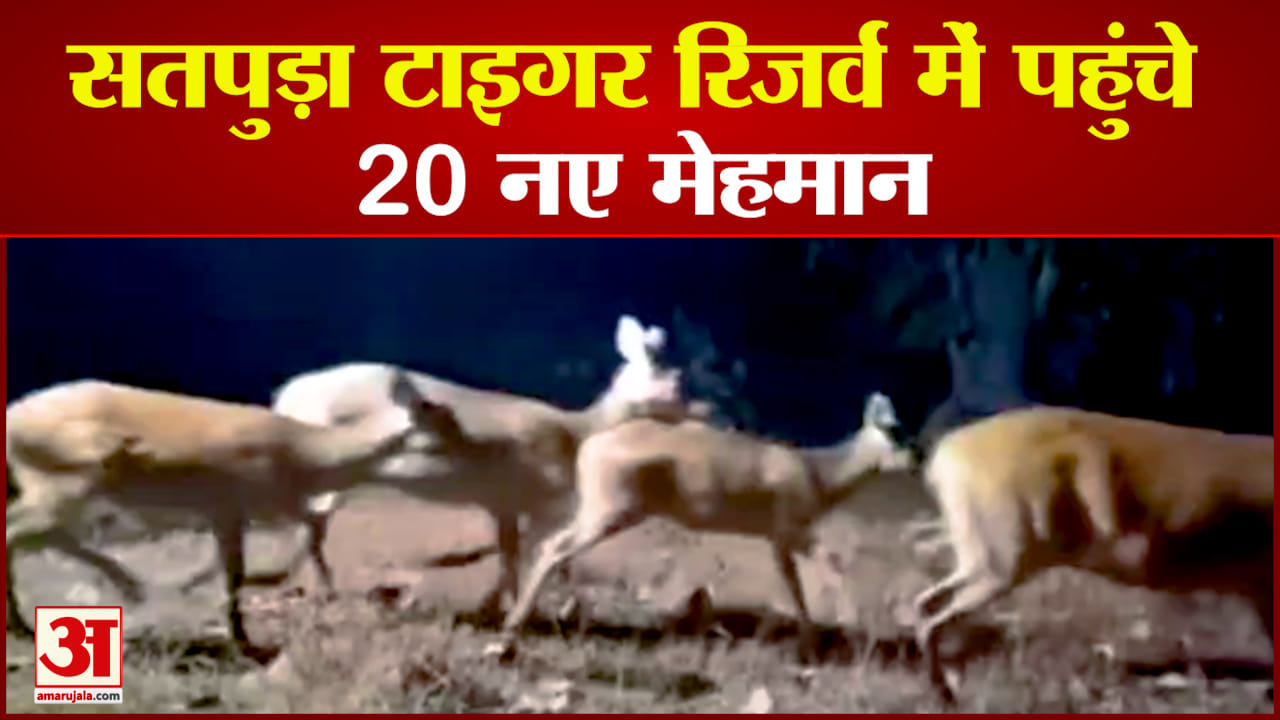 सतपुड़ा टाइगर रिजर्व
