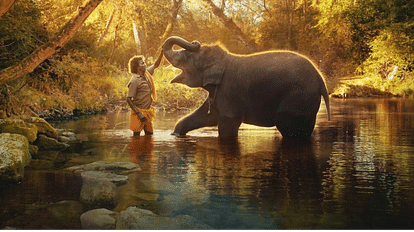 Oscar Nominations 2023:'द एलिफेंट व्हिस्परर्स' डॉक्यूमेंट्री शॉर्ट फिल्म के  लिए नामांकित, जानें इसकी कहानी - Oscar Nominations 2023 The Elephant  Whisperers Nominated In Documentary ...