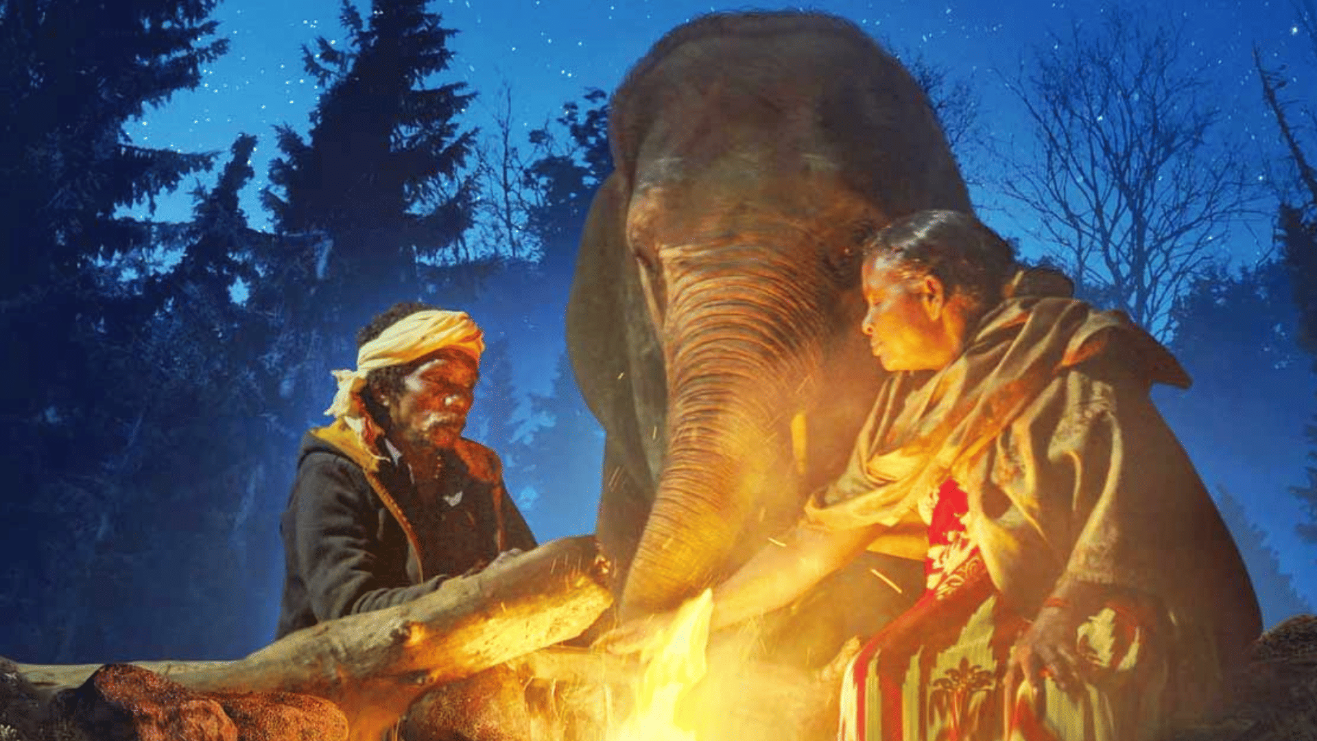 Oscar Nominations 2023 The Elephant Whisperers Nominated in Documentary Short Film Category know its story