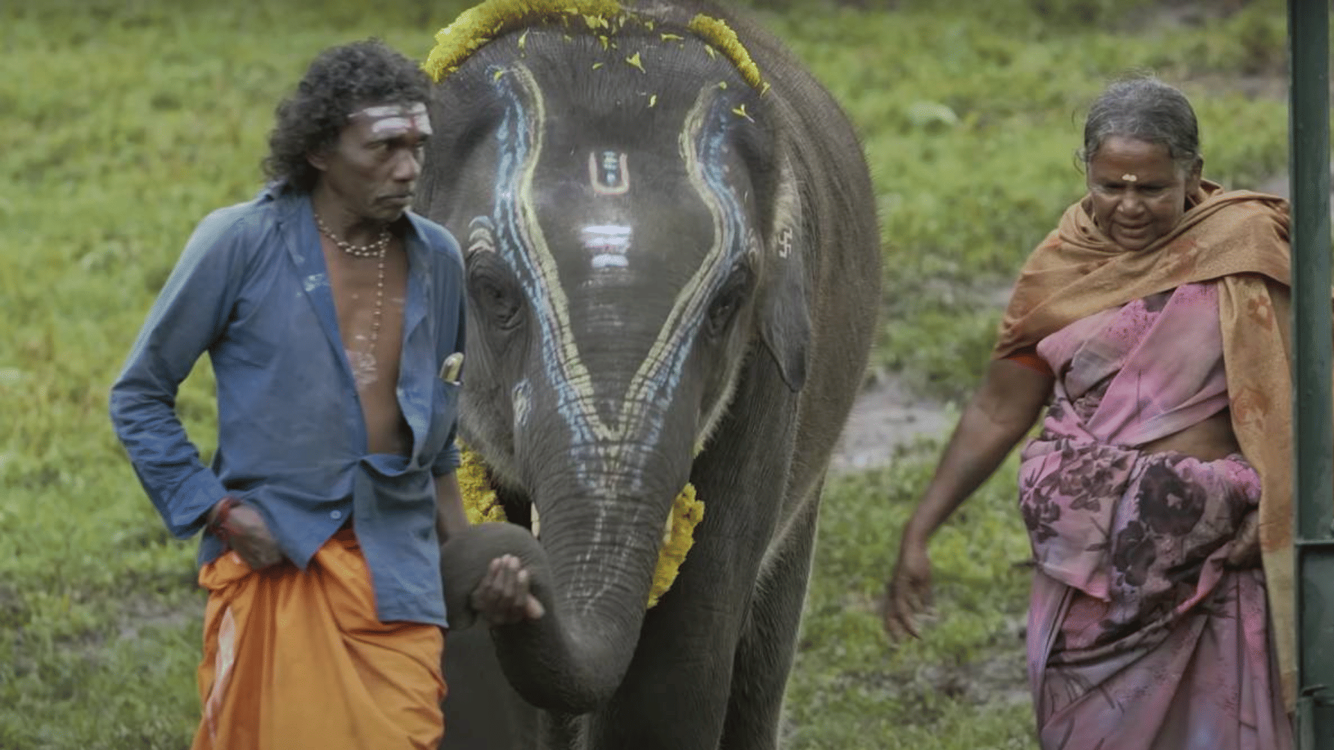 Oscar Nominations 2023 The Elephant Whisperers Nominated in Documentary Short Film Category know its story