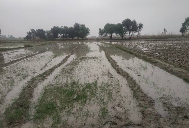 agricultur