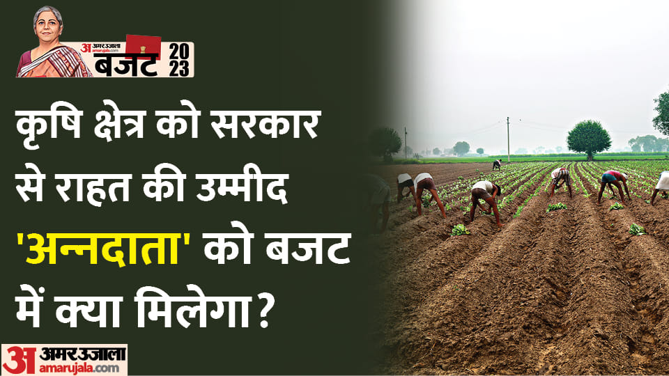 Union Budget 2023: What agriculture sector wants this year?