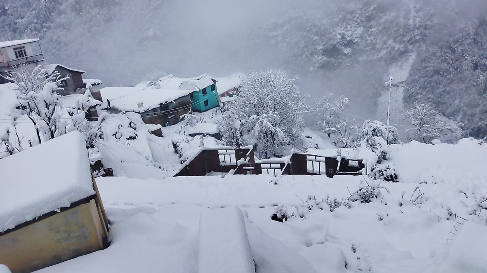 Snowfall In Himachal Prdaesh 262 Road Blocked 889 Power Transformer and 29 Water Supply Schemes Disrupted