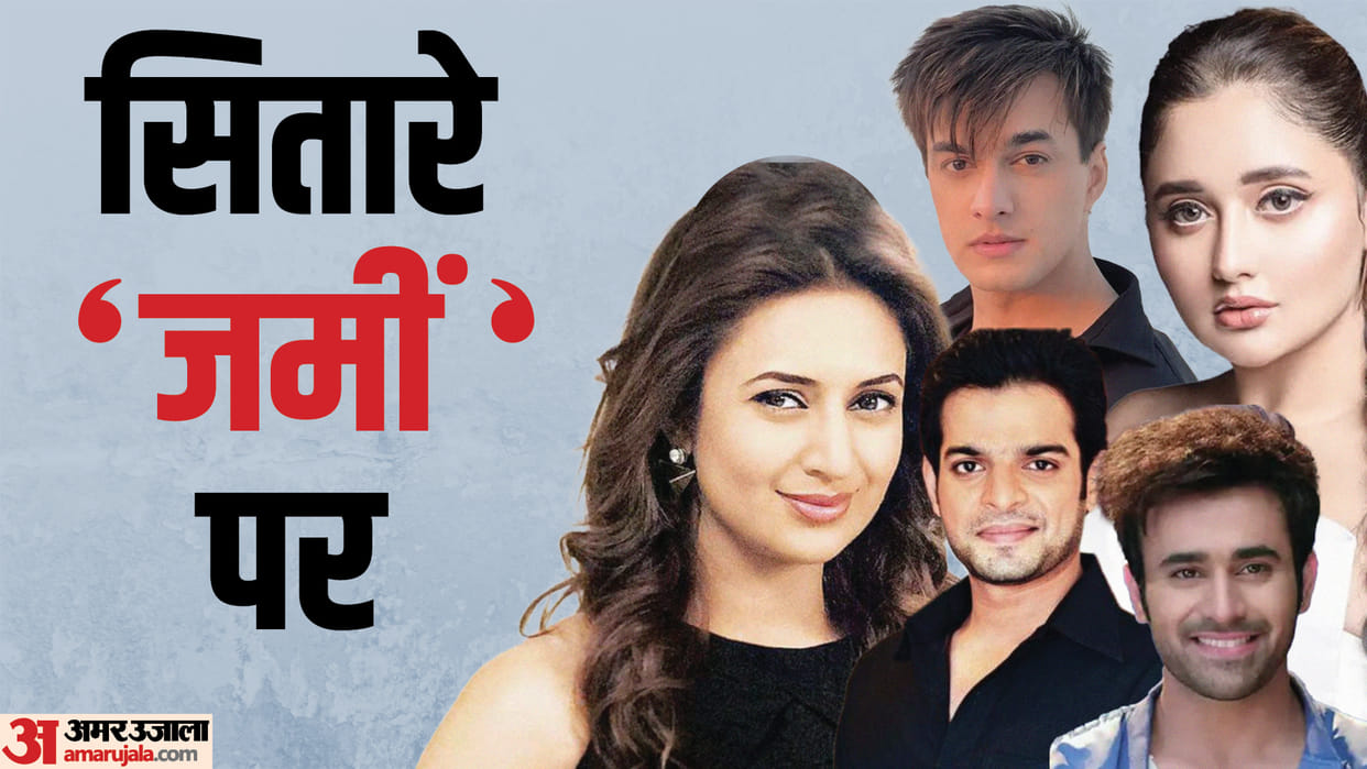 Famous TV Stars Who Are Jobless Today From Divyanka Tripathi To Mohsin Khan