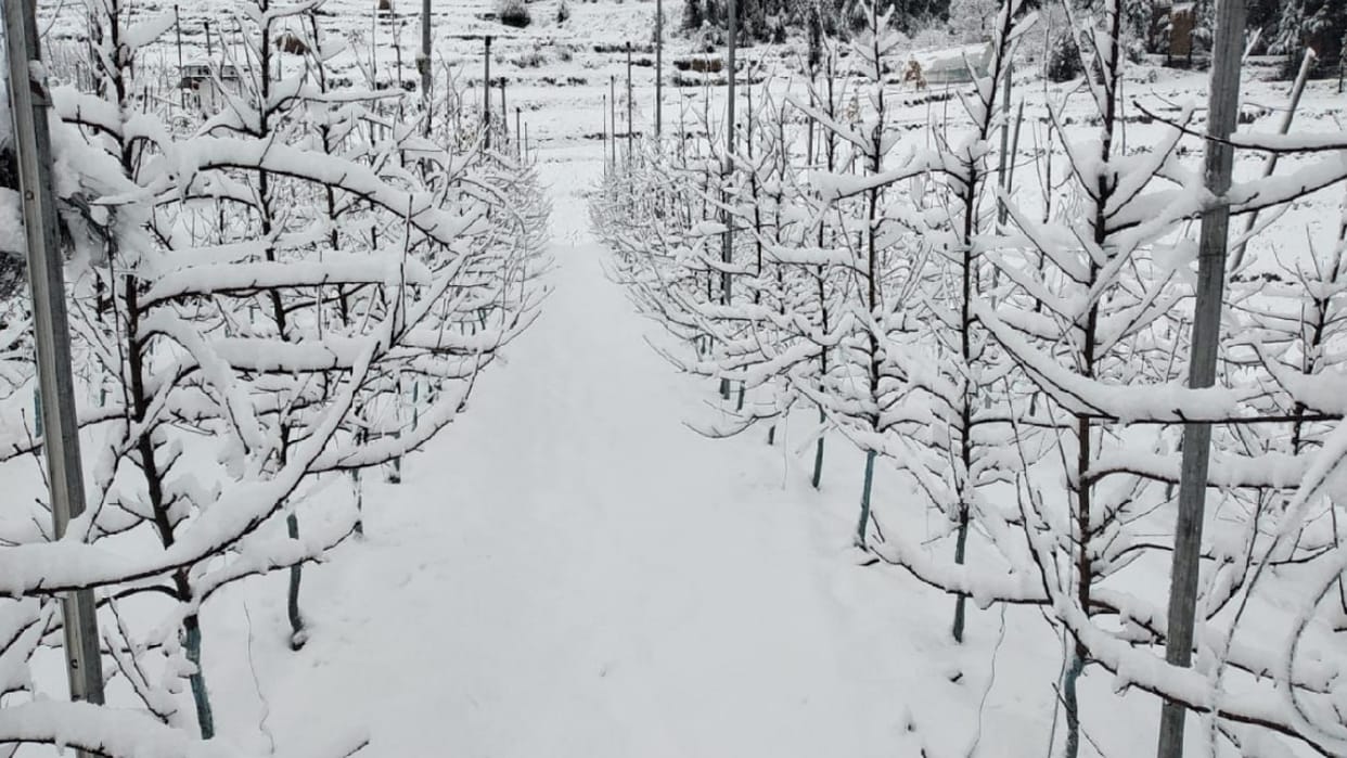 Himachal Weather update forecast of rain and snowfall from january 28