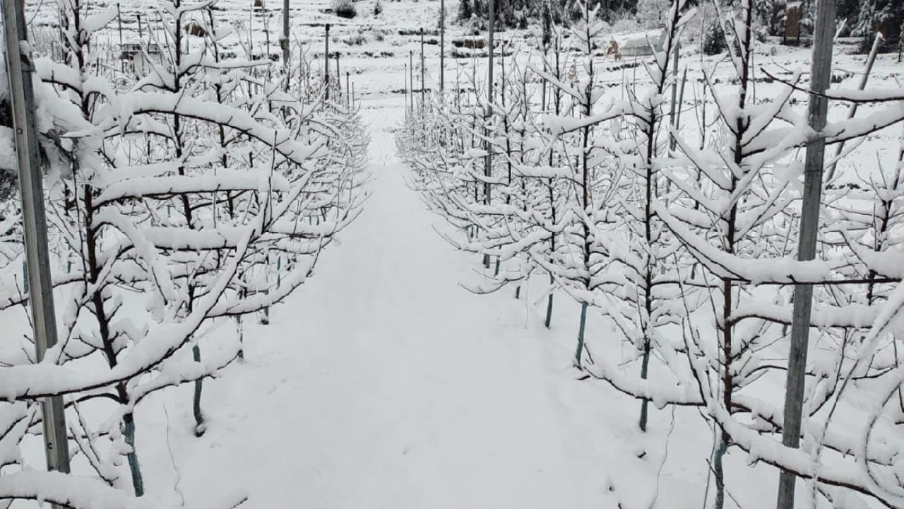 Himachal weather, Avalanche occurred at three places, warning for five districts, 239 roads including Atal Tun