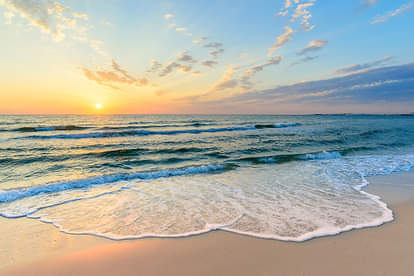 सोशल मीडिया