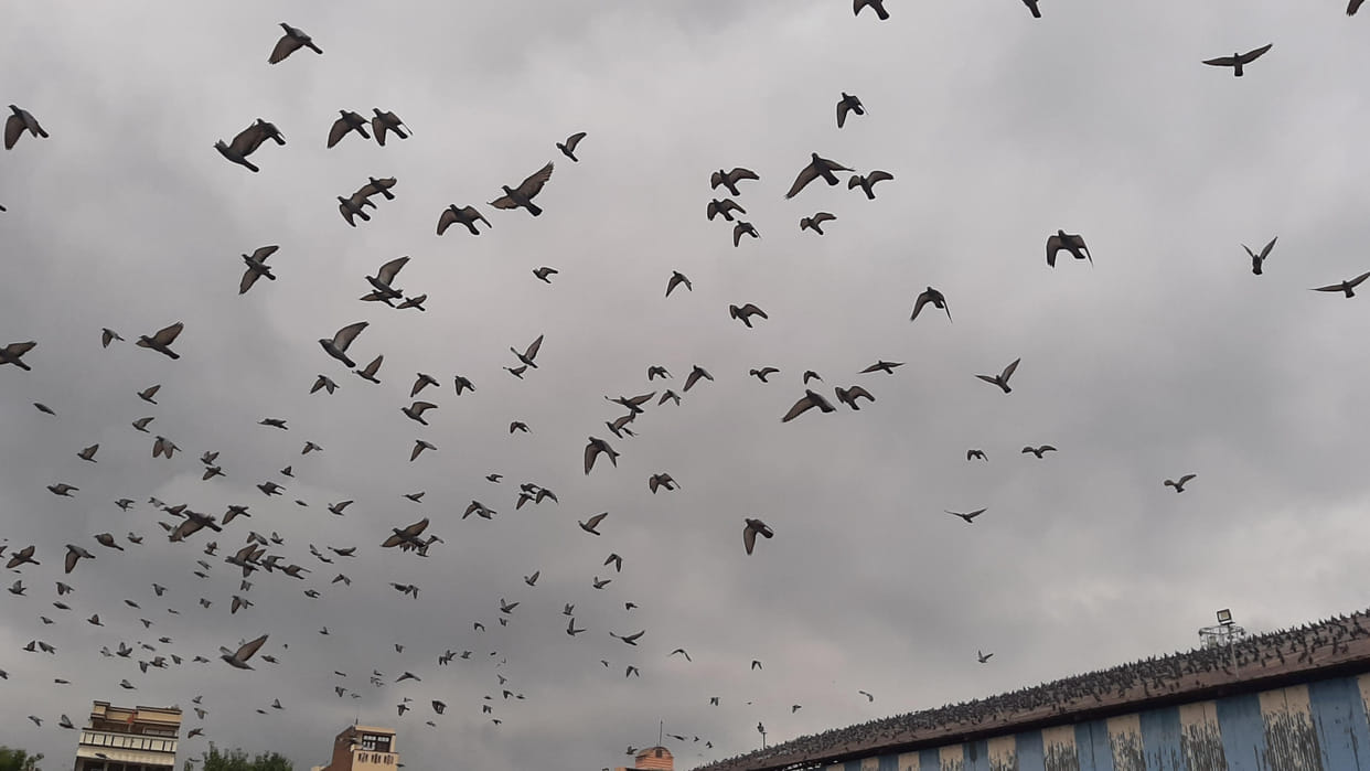 Haryana Weather: Weather will remain dry for two-three days, possibility of rain on 29th and 30th Jan