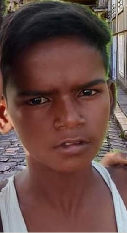 The bull killed the teenager guarding the farm